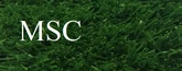 MSC