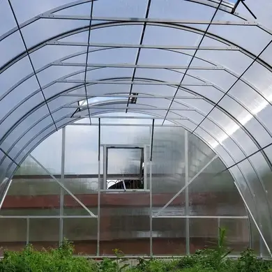 Сотовий полікарбонат Solidprof 10 мм 4W, прозорий 12000х2100 мм