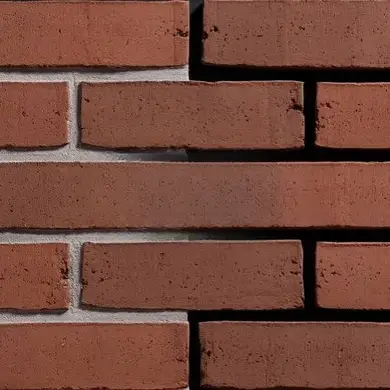 Цегла ручного формування ENGELS Oeffelt Teak DF 215х101х65 мм