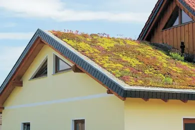 Профилированная дренажная мембрана PLASTMASTER GREENFOL DREN 700 + 110 рулон 30 м² (2х15 м)