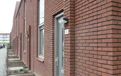 Кирпич ручной формовки ENGELS Oeffelt Rhodoniet DF 215х101х65 мм
