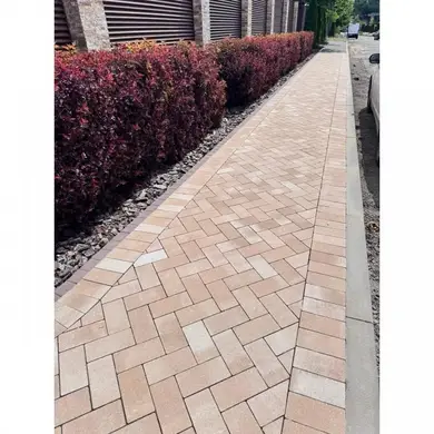 Тротуарна плитка Золотий Мандарин Цегла стандартна 80 Капрі б/ф 200х100