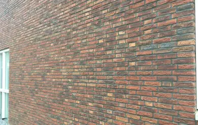 Цегла ручного формування ENGELS Helden Oud Roosendaal WF 210х100х50 мм