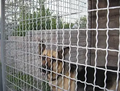 Сітка канілірована Завод Центр - Сітка 50х50 1.5х2 м