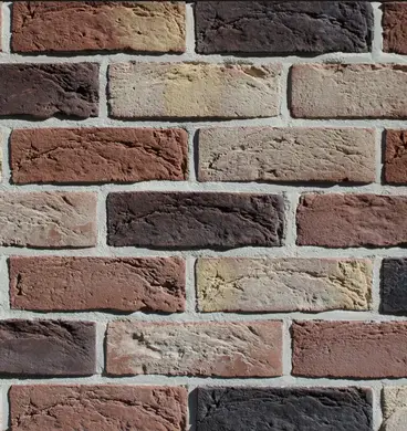 Плитка ручного формування Loft Brick Колекція Краса Традицій 10 210х65х15мм Бостон
