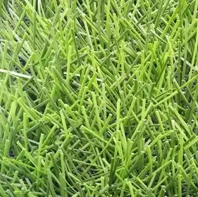 Штучна трава для футболу Bellinturf Bellin-Evolution 40 мм