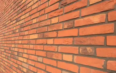 Цегла ручного формування ENGELS Oeffelt Tharsis WF 210x100x50 мм