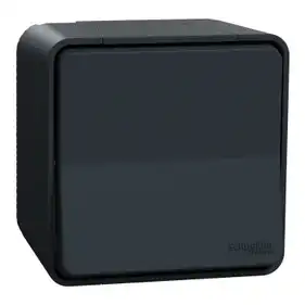 Выключатель Schneider Electric 1-кл. внеш. проходной IP55 "MUREVA S" черный (10А) (C2) 