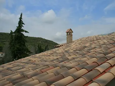 Керамічна черепиця Tejas Borja Монах-монашка 51/21 Celler Montseny