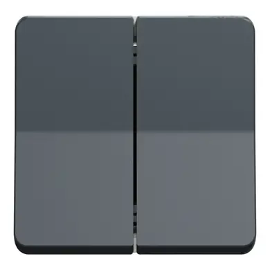 Мех-м Schneider Electric выключателя 2-кл. внутр. проходной IP55 "MUREVA S" черный (10А) (C3) 