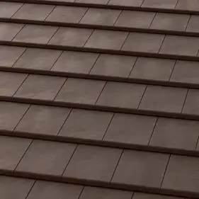 Керамічна черепиця Tejas Borja Flat-10 Chocolate