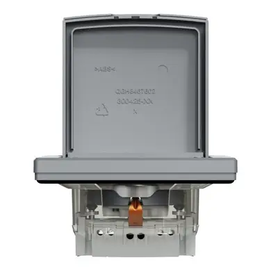 Розетка Schneider Electric 1-я З/К внутр. с крышкой и шторками IP44 "ASFORA сталь (C2)