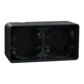 Коробка Schneider Electric для внеш. монтажа 2-ая IP55 "MUREVA S" черная (C3)