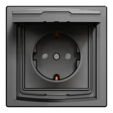 Розетка Schneider Electric 1-а З/К внутр. з кришкою та шторками ІР44 "ASFORA антрацит (C2)