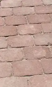 Тротуарная плитка Золотой Мандарин Кирпич большой Антик 90 Персиковый 240х160