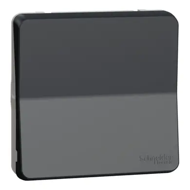 Выключатель Schneider Electric 1-кл. внутр. перекрестный IP55 "MUREVA S" черный (10А) (C3) 
