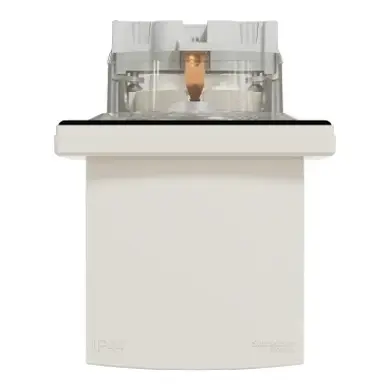 Розетка Schneider Electric 1-а З/К внутр. з кришкою та шторками ІР44 "ASFORA" сл.к. (C2) 