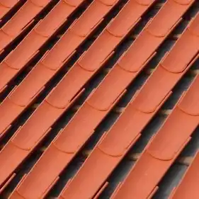 Керамическая черепица Tejas Borja Монах-монашка Step Celler 50 Red