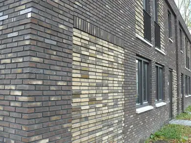 Цегла ручного формування ENGELS Oeffelt Sardonyx WF 210x100x50 мм