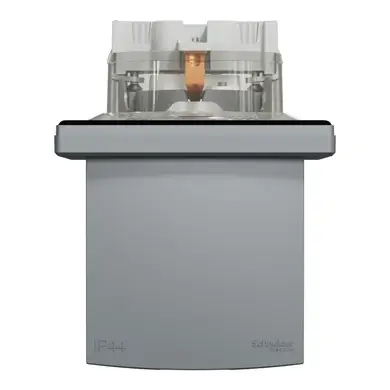 Розетка Schneider Electric 1-я З/К внутр. с крышкой и шторками IP44 "ASFORA сталь (C2)
