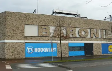 Цегла ручного формування ENGELS Oeffelt Eldorado WF 210x100x50 мм