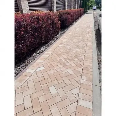 Тротуарная плитка Золотой Мандарин Кирпич стандартный 40 Колор микс б/ф 200х100