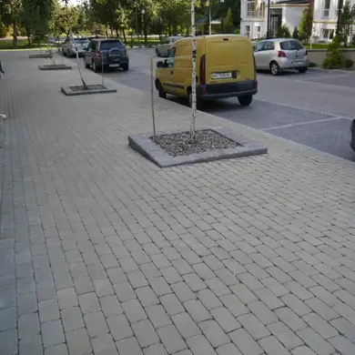 Тротуарна плитка Золотий Мандарин Цегла стандартна Антик 60 Гірчичний 200х100