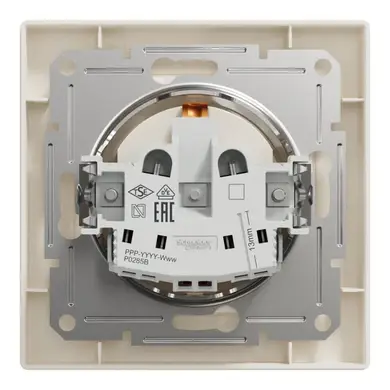 Розетка Schneider Electric 1-а З/К внутр. зі шторками "ASFORA" сл.к. (C1) 