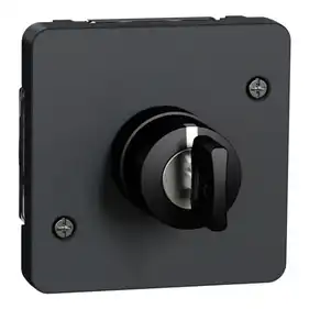 Выключатель Schneider Electric с ключом внутр. 3-поз. IP55 "MUREVA S" черный (3А) (C3) 