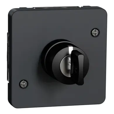 Вимикач Schneider Electric з ключем внутр. 3-поз. IP55 "MUREVA S" чорний (3А) (C3) 