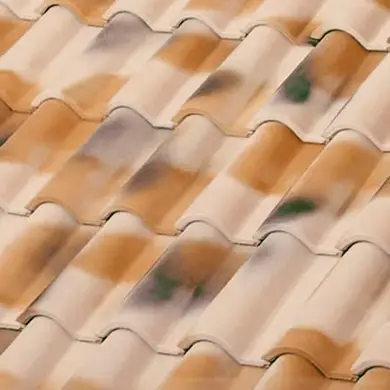 Керамічна черепиця Tejas Borja ТВ-12 Vilavella