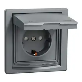 Розетка Schneider Electric 1-я З/К внутр. с крышкой и шторками IP44 "ASFORA сталь (C2)