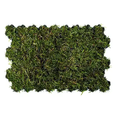 Георешетка PROTEX INOVGREEN IР 40 зеленая 58x39x4 см
