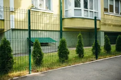 Сетка секция ЭКО ASTRA оц+ПП ø 3/3 (200х50) мм 1,53х2,5 м. RAL 6005