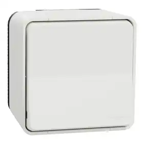 Выключатель Schneider Electric 1-кл. внеш. проходной IP55 "MUREVA S" белый (10А) (C2) 