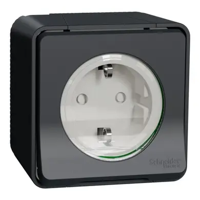 Розетка Schneider Electric 1-ая С/К защ. внеш. со шторками IP55 "MUREVA S" черная (C2) 