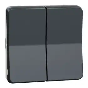 Мех-м Schneider Electric выключателя 2-кл. внутр. проходной IP55 "MUREVA S" черный (10А) (C3) 