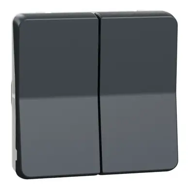 Мех-м Schneider Electric выключателя 2-кл. внутр. проходной IP55 "MUREVA S" черный (10А) (C3) 