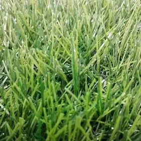 Штучна трава Bellinturf Bluebell 204 20 мм