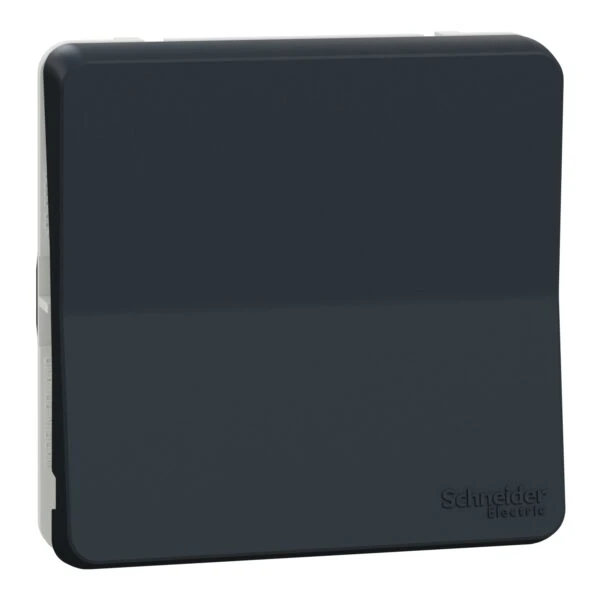 Вимикач Schneider Electric 1-кл. внутр. прохідний IP55 "MUREVA S" чорний (10А) (C2) 