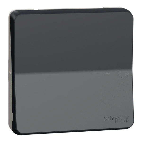 Вимикач Schneider Electric 1-кл. внутр. перехресний IP55 "MUREVA S" чорний (10А) (C3) 