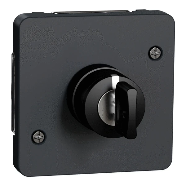 Выключатель Schneider Electric с ключом внутр. 3-поз. IP55 "MUREVA S" черный (3А) (C3) 