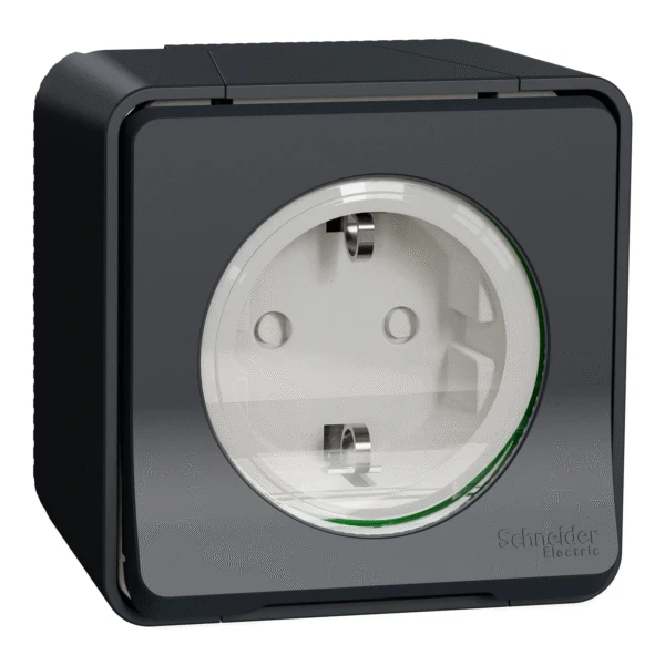 Розетка Schneider Electric 1-ая С/К защ. внеш. со шторками IP55 "MUREVA S" черная (C2) 