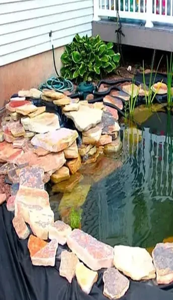 Плівки для водойм і сільского господарства